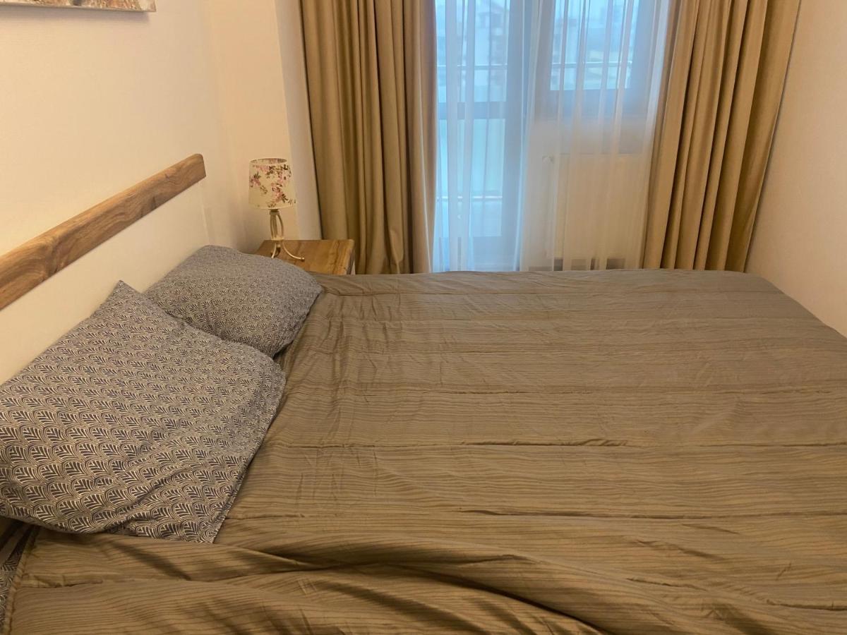 Lazar Loft Apartment Iasi Bagian luar foto