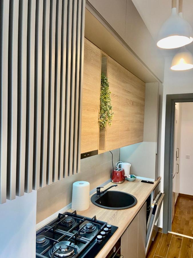 Lazar Loft Apartment Iasi Bagian luar foto