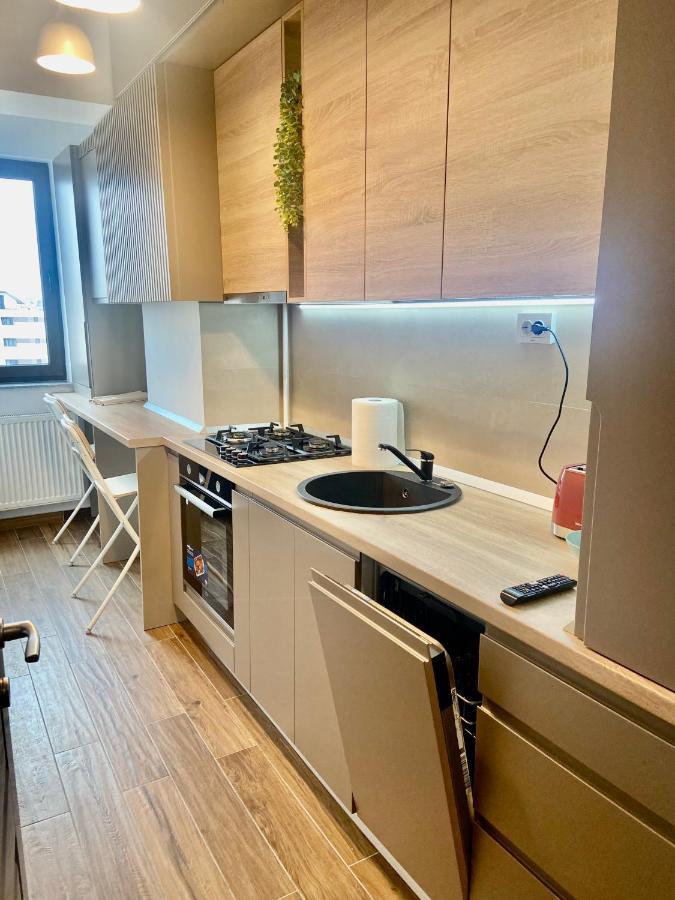 Lazar Loft Apartment Iasi Bagian luar foto
