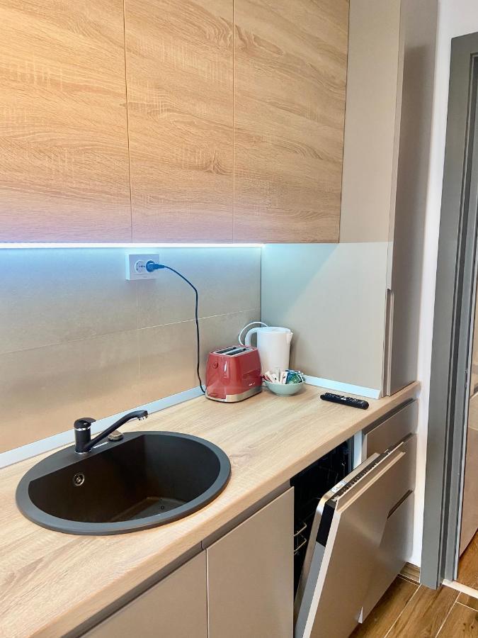 Lazar Loft Apartment Iasi Bagian luar foto